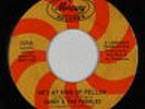 Northern Soul 45 - Sandy & The Pebbles - He's My Kind Of Fellow - Mercury - mp3