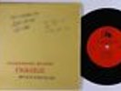 Radio Spot 45 - Battle For The Planet Of The Apes (1973) - 20th Century-Fox - NM