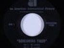 Radio Spot 45 - Screaming Tiger (1973) - AIP - VG++ mp3