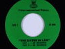 Radio Spot 45 - The Sister In Law (1974) - Crown International - VG++ mp3