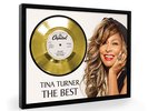 Tina Turner The Best Framed Gold Disc Display Vinyl (C1)