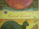 Ambient/Cosmic Drone MICHAEL STEARNS Ancient Leaves LP 1977 CONTINUUM MONTAGE