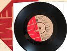 SEX PISTOLS- 