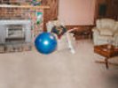Julia Jacklin : Don't Let the Kids Win VINYL 12
