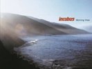 INCUBUS Morning View 2 x 180gm Vinyl LP Gatefold NEW & SEALED Music On Vinyl