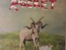 Rocket - (Sandy) Alex G Vinyl