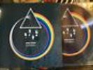 pink floyd Travel sequence picture disc LP