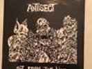 Antisect ?– Out From The Void RARE PUNK 7