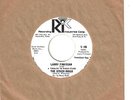 LARRY FINNEGAN 45  (A Tribute To Ringo Starr) The Other Ringo  (promo) - NM