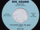 Northern Soul Ricky Dee I'M GONNA MAKE HER MINE 1966 BIG SOUND Label 45 RPM