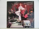 FLAMENCO FEVER 