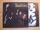 THE BLACK CROWES SHAKE YOUR MONEY MAKER  LP