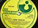 Scorpions LP Animal magnetism UK Harvest 1st Press A-1 & B-1 NICE COPY