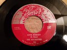 Rare Early Doo Wop 45 The Rockettes Love Nobody / I Can't Forget - Parrot 789