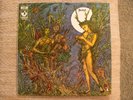 Forest - Self Titled - 1969 Psychedelic Rock - Vinyl Record LP - SKAO-419 - Gate