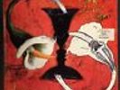 Toad The Wet Sprocket - 