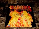 Pantera Rare Signed Vinyl LP Record Reinventing The Steel Phil Anselmo Metal COA