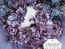 Kashmir - E.A.R on White/Purple Vinyl 2LP Inc Gatefold and Booklet NEW/SEALED