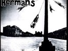 Dog Faced Hermans - Humans Fly (Vinyl Used Like New)