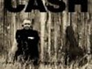 JOHNNY CASH AMERICAN II UNCHAINED LP VINYL 33RPM NEW