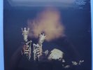 Riot Act by Pearl Jam (Vinyl, Nov-2017, 2 Discs, Epic) Brand new, Sealed Copy