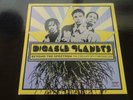 Digable Planets 2xLP Beyond the Spectrum Near Mint The Creamy Spy Chronicles