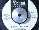 GARAGE 45 - PLYMOUTH ROCKERS - DON'T SAY WHY /WALK A LONELY MILE PROMO M- Hear