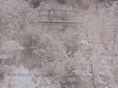 Red House Painters 1 / Mark Kozelek - Untitled (Bridge) Orig LP in Near Mint con