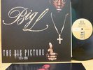 BIG L THE BIG PICTURE 1974- 1999 LP Rawkus RWK-1178 N MINT w INSERT