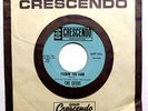 The SEEDS 45 Pushin Too Hard / Try To Understand 1966 Garage Psych DM1112