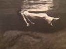 BILL EVANS JIM HALL Undercurrent LP UNITED ARTISTS JAZZ UAJ 14003 orig