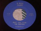 THE VICTIMS RARE OBSCURE KBD PUNK 45 