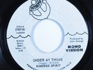 Garage Mod 45 KINDRED SPIRIT Under My Thumb INTREPID promo HEAR