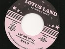HALO - Let me do it - NORTHERN SOUL - 7'' - 45rpm - LISTEN