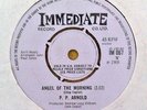 P. P. ARNOLD 