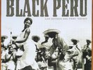 THE RHYTHMS OF BLACK PERU-los rites del peru negro-2011 SECRET STASH LP