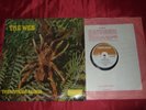 THE WEB - THERAPHOSA BLONDI UK DERAM MONO LP DML R 1058.