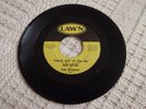 BOB MEYER AND THE RIVIERAS YOU'VE GOT TO TELL ME/BEHOLD  LAWN 238