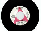 Sly & The Family Stone Bad Risk / Underdog 45 RPM Epic 1967 Promo