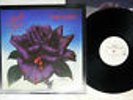 THIN LIZZY BLACK ROSE A ROCK LEGEND VERTIGO RJ-7587 Japan PROMO VINYL LP