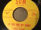 HEAR Great 60'S Texas Blues- Joey Long (Sonny Fisher) Ease My Pain SOM