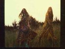 First Aid Kit- The Lion's Roar New Sealed  Vinyl [180g] w/ CD