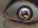 The Greatest Show on Earth – Horizons – SHVL 769 – LP Vinyl Record