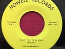 UNKNOWN IV   I WANT YOU TO BE MINE   HOWELL RECORDS RALEIGH NC RARE GARAGE 45 NM