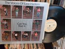 The Voices Of East Harlem Soul LP Can You Feel It '74 Just Sunshine Unplayed  NM