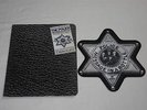 PICTURE SHAPE THE POLICE - MESSAGE IN A BOTTLE US-ORG 1980 LIMITED EDIT TOP RARE
