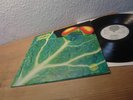 CATAPILLA CHANGES 1972 MINT VERTIGO SWIRL LP 1ST PRESS