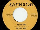 Northern Soul * THE SCOTT BROS. * We Like Girls * ZACHRON* Listen MP3
