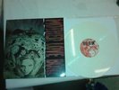 MOTHER LOVE BONE - APPLE - BRAND NEW WHITE COLORED VINYL LP RECORD