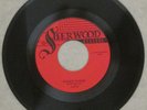 Lani Power Surge Rare Private Punk Metal Hard Rock Garage 45 Sherwood KY 1981